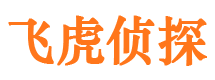 安达私家侦探